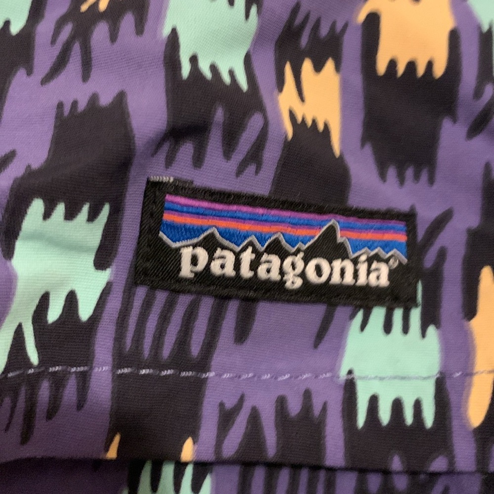 NWT Patagonia Baggie Shorts